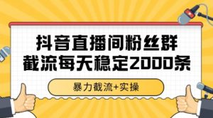 抖音直播间粉丝群暴力截流，一台电脑每天稳定2000条数据【揭秘】-精品虚拟资源库