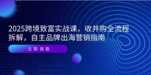 2025跨境致富实战课，收并购全流程拆解，自主品牌出海营销指南-精品虚拟资源库
