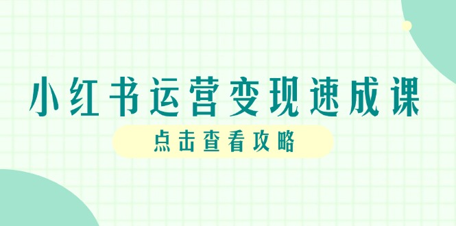 小红书运营变现速成课，账号搭建到暴力起号，个人IP全流程指南-精品虚拟资源库