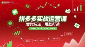 拼多多实战运营课，实时玩法，爆款打造，改销量，补大单，AB单，直播等(更新2025月)-精品虚拟资源库