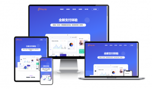 2025彩虹易支付前端新模板美化版-精品虚拟资源库