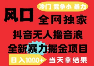 25年6月高爆抖音无人直播最新撸音浪掘金项目，解放双手小白可做，无脑日入1k+，门槛低【揭秘】-精品虚拟资源库