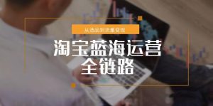 淘宝蓝海运营全链路,从选品到流量变现,小类目突围完整方案-精品虚拟资源库