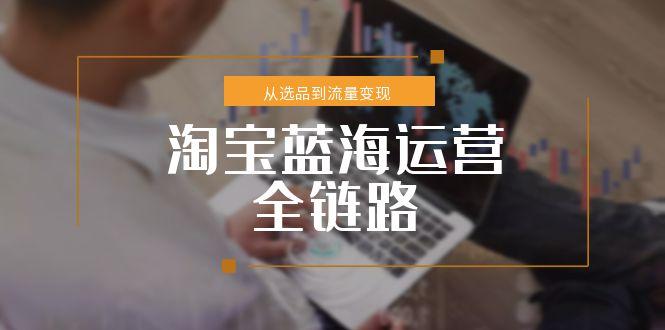淘宝蓝海运营全链路，从选品到流量变现，小类目突围完整方案-精品虚拟资源库