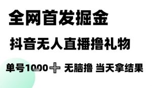 全网首发掘金抖音无人直播撸礼物，单号1k +无脑撸，当天拿结果【揭秘】-精品虚拟资源库