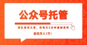 【公众号托管 】我提供文章，你每天５分钟复制发布，最高月入1W-精品虚拟资源库