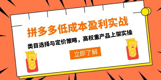 拼多多低成本盈利实战，类目选择与定价策略，高权重产品上架实操-精品虚拟资源库