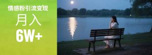 情感粉引流变现实操课：单月变现6w+，情感粉引流变现实操课-精品虚拟资源库