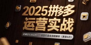2025拼多多运营实战:店铺定位选品技巧,爆款打造全流程解析(更新6月-精品虚拟资源库