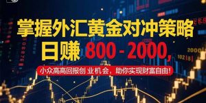 掌握外汇黄金对冲策略，日赚 800 - 2000，小众高回报创业机会，助你实...-精品虚拟资源库