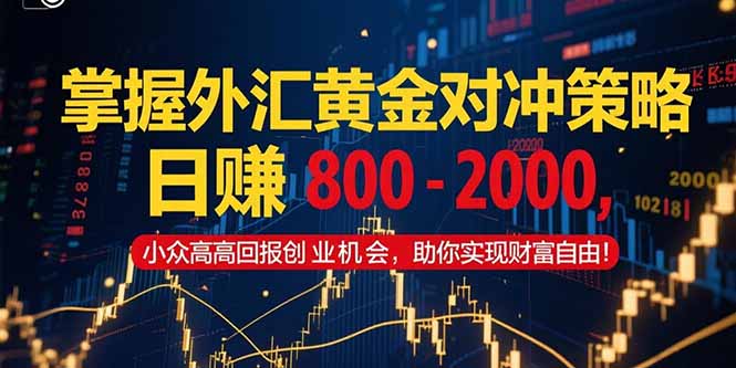 掌握外汇黄金对冲策略，日赚 800 – 2000，小众高回报创业机会，助你实…-精品虚拟资源库
