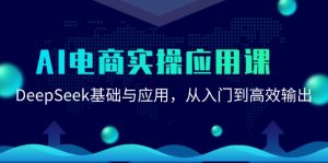 AI电商实操应用课：DeepSeek基础与应用，从入门到高效输出-精品虚拟资源库