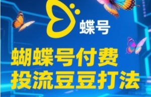 2025蝴蝶号付费投流豆豆打法,助新手快速掌握付费流量撬动自然流的核心玩法-精品虚拟资源库