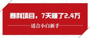 最新暴利项目，每单收益轻松在300以上，7天赚了2.4万-精品虚拟资源库