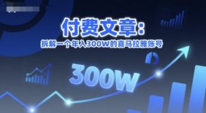 付费文章：拆解一个年入300W的喜马拉雅账号-精品虚拟资源库
