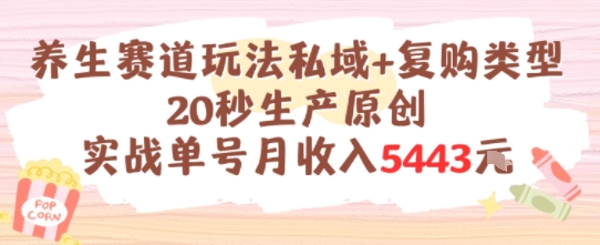 养生赛道玩法私域+复购类型，20秒生产原创实战单号月收入5k+-精品虚拟资源库