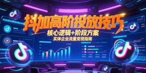 抖加高阶投放技巧，核心逻辑+阶段方案，实体企业流量变现指南-精品虚拟资源库