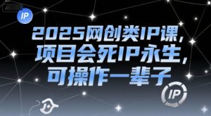 2025网创类IP课,项目会死IP永生,可操作一辈子-精品虚拟资源库