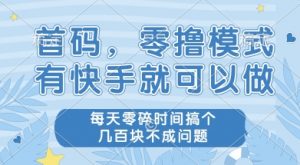 首码零撸项目，有快手就可以做，每天业务时间搞个几张不是问题【揭秘】-精品虚拟资源库