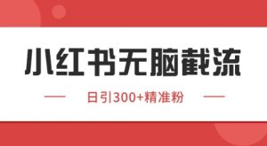 小红书截流同行客源，独家野路子获客玩法 日引200+暴力获客【揭秘】-精品虚拟资源库