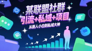某联盟社群,引流+私域+项目,从新人小白到私域大神-精品虚拟资源库