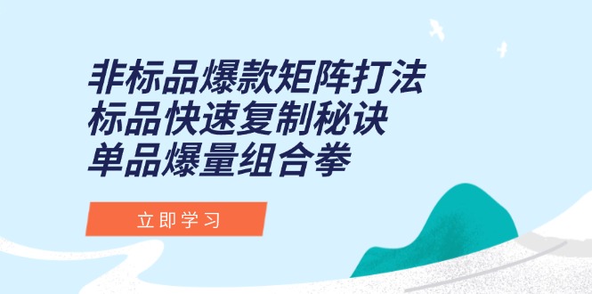 非标品爆款矩阵打法，标品快速复制秘诀，单品爆量组合拳-精品虚拟资源库