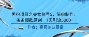 男粉项目之美女账号5,简单制作,条条爆款原创,7天引流5000+-精品虚拟资源库