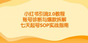 小红书引流2.0教程，账号诊断与爆款拆解，七天起号SOP实战指南-精品虚拟资源库