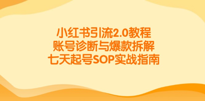 小红书引流2.0教程，账号诊断与爆款拆解，七天起号SOP实战指南-精品虚拟资源库