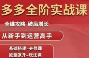 拼多多全阶实战课程,全维攻略,破局增长,从新手到运营高手-精品虚拟资源库