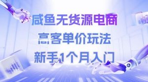 咸鱼无货源电商，高客单价玩法，新手1个月入门-精品虚拟资源库