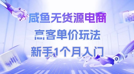 咸鱼无货源电商，高客单价玩法，新手1个月入门-精品虚拟资源库