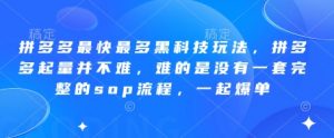 拼多多最快最多黑科技玩法，拼多多起量并不难，难的是没有一套完整的sop流程，一起爆单(更新6月)-精品虚拟资源库