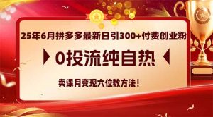 25年6月拼多多最新日引300+付费创业粉,0投流纯自热 卖课月变现六位数方法-精品虚拟资源库