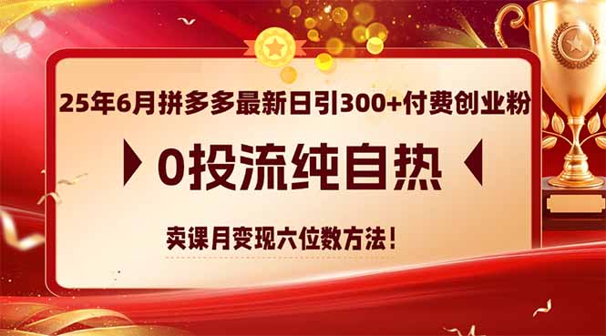 25年6月拼多多最新日引300+付费创业粉，0投流纯自热 卖课月变现六位数方法-精品虚拟资源库