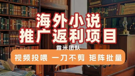 海外小说推广返利项目，视频投喂， 一刀不剪，矩阵批量-精品虚拟资源库