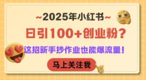 2025年小红书日引100+创业粉?这招新手抄作业也能爆流量!-精品虚拟资源库
