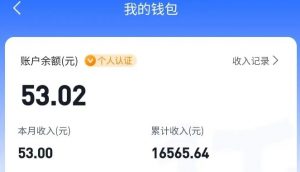 适合空闲时间操作的小红书低保项目，小红薯发布笔记，单个账号每天可获得2-12元左右-精品虚拟资源库