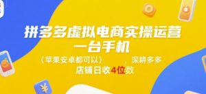 拼多多虚拟电商实操运营,一台手机(苹果安卓都可以),深耕多多店铺日收4位数-精品虚拟资源库