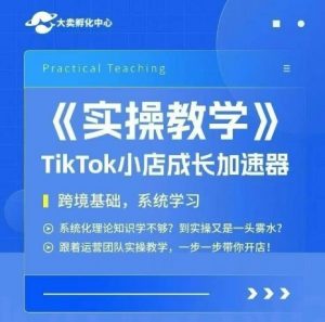 大卖家孵化中心TikTok实操课，TikTok小店成长加速器，跨境基础系统学习，一步一步带你开店-精品虚拟资源库