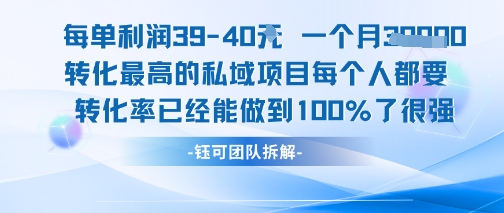 每单利润40一个月7k+转化最高的私域项目，每个人都要的产品转化率已经能做到100%-精品虚拟资源库