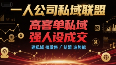 一人公司私域联盟，高客单私域，强人设成交，建私域 搞发售 广结盟 造势能-精品虚拟资源库