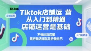 Tiktok店铺运营从入门到精通，店铺运营是基础，不懂运营店铺，瞎折腾店铺就是折腾自己-精品虚拟资源库