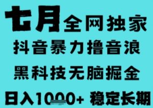 7月最新风口抖音无人直播撸音浪,长期稳定,非短期,全自动运行,低门槛无脑,日入1k+【揭秘】-精品虚拟资源库