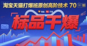 淘宝天猫打爆班原创高阶技术第70期：标品干爆-精品虚拟资源库