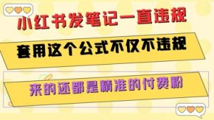 小红书发笔记一直违规，套用这个公式不仅不违规，来的还都是精准的付费粉-精品虚拟资源库
