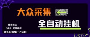大众采集全自动玩法，新手小白轻松一天5张+，操作简单零成本【揭秘】-精品虚拟资源库
