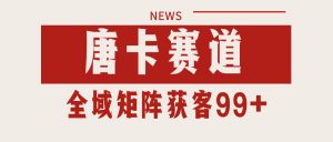 唐卡赛道私域引流获客 自热矩阵SOP日引流99+精准客资-精品虚拟资源库