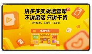 拼多多实战运营课，不讲废话只讲干货，简单粗暴，能落地，可复制-精品虚拟资源库