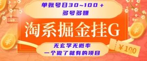 淘系掘金挂G项目，单账号日收益30~100+，多号多得，一个做了就有的项目【揭秘】-精品虚拟资源库